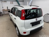  Fiat  Panda  City Life 1.0 51KW MT6 E6d #8