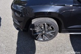  Skoda  Karoq  Sportline 4x4 2.0 TDI 110KW AT7 E6d #37
