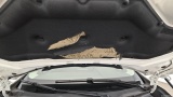  Bmw  Serie 2 Active Tourer (F45 Manual Diesel  10 #31