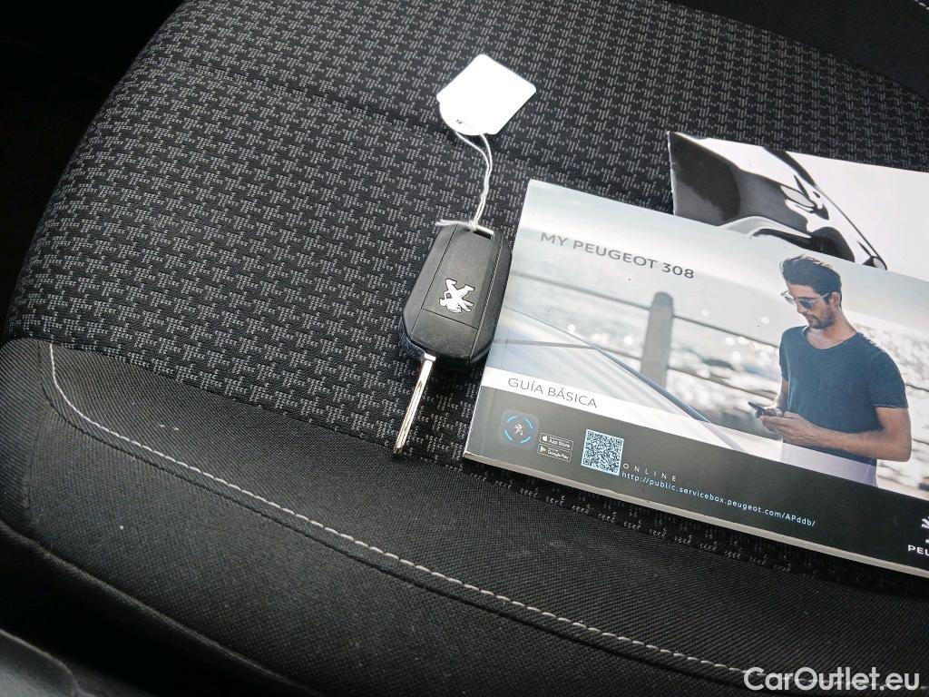  Peugeot  308  Active Pack 1.5 HDi 130CV MT6 E6d #2