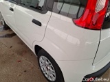  Fiat  Panda FIAT  / 2011 / 5P / BERLINA 1.0 FIREFLY 70CV SeS HYBRID #39