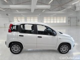  Fiat  Panda FIAT  / 2011 / 5P / BERLINA 1.0 70CV SeS HYBRID #7
