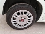  Fiat  Panda FIAT  / 2011 / 5P / BERLINA 1.0 70CV SeS HYBRID #18