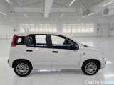  Fiat  Panda FIAT  / 2011 / 5P / BERLINA 1.0 FIREFLY 70CV SeS HYBRID #7