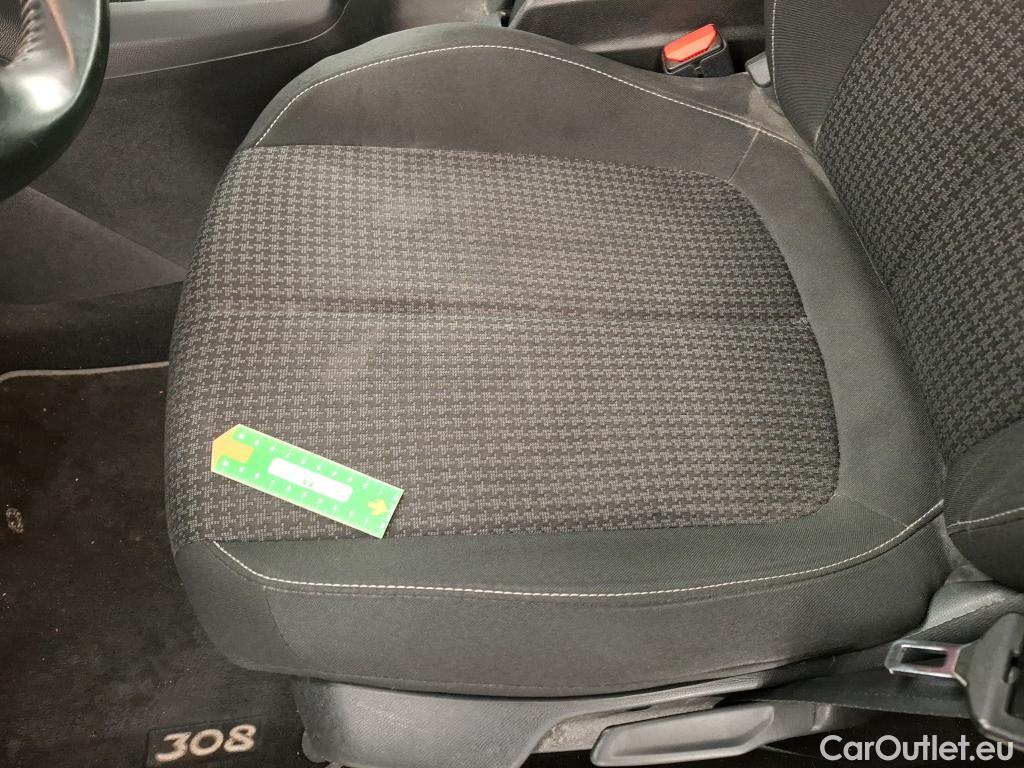  Peugeot  308  Active Business 1.5 HDI 100CV BVM6 E6dT #34