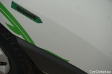  Renault  Kangoo  Z.E. 33 Maxi 2-Sitzer 33kWh #19