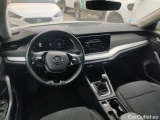  Skoda  Octavia  Berlina Ambition 2.0 TDI 115CV MT6 E6d #3