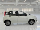  Fiat  Panda FIAT  / 2011 / 5P / BERLINA 1.2 69CV SeS E6D-TEMP EASY #7