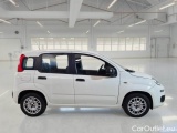  Fiat  Panda FIAT  / 2011 / 5P / BERLINA 1.0 70CV SeS HYBRID #7
