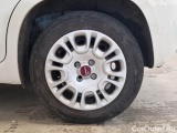  Fiat  Panda FIAT  / 2011 / 5P / BERLINA 1.0 70CV SeS HYBRID #19