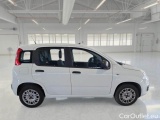  Fiat  Panda FIAT  / 2011 / 5P / BERLINA 1.2 69CV SeS E6D-TEMP EASY #7