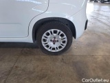  Fiat  Panda FIAT  / 2011 / 5P / BERLINA 1.2 69CV SeS E6D-TEMP EASY #19