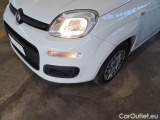  Fiat  Panda FIAT  / 2011 / 5P / BERLINA 1.2 69CV SeS E6D-TEMP EASY #30