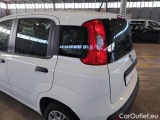  Fiat  Panda FIAT  / 2011 / 5P / BERLINA 1.2 69CV SeS E6D-TEMP EASY #60