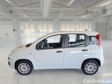  Fiat  Panda FIAT  / 2012 / 5P / BERLINA 1.2 69 CV VAN EURO6D 4 POSTI EASY #8