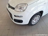  Fiat  Panda FIAT  / 2012 / 5P / BERLINA 1.2 69 CV VAN EURO6D 4 POSTI EASY #22