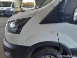  Ford  Transit FORD  / 2019 / 4P / FURGONE 310 L2H2 TREND 2.0 ECO 130 CV #63