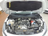  Ford  Focus Turnier 1.5 EcoBlue Start-Stopp-System Aut. COOL&CONNECT Automatic Diesel  24 #19