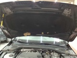  Volkswagen  Golf  2.0 TDI SCR DSG Life   Automatic Diesel  86 #29