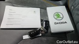  Skoda  ENYAQ 80 #12