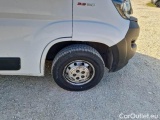  Fiat  Ducato FIAT  / 2014 / 4P / FURGONE 33 MH2 2.3 MULTIJET 120CV E6D-TEMP #77