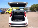  Fiat  Panda FIAT  / 2012 / 5P / BERLINA 1.2 69 CV VAN EURO6D 4 POSTI EASY #5