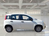  Fiat  Panda FIAT  / 2012 / 5P / BERLINA 1.2 69 CV VAN EURO6D 4 POSTI EASY #7