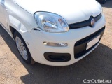  Fiat  Panda FIAT  / 2012 / 5P / BERLINA 1.2 69 CV VAN EURO6D 4 POSTI EASY #32