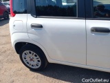  Fiat  Panda FIAT  / 2012 / 5P / BERLINA 1.2 69 CV VAN EURO6D 4 POSTI EASY #48