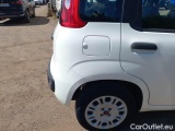  Fiat  Panda FIAT  / 2012 / 5P / BERLINA 1.2 69 CV VAN EURO6D 4 POSTI EASY #54