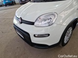  Fiat  Panda FIAT  / 2012 / 5P / BERLINA 1.0 70CV HYBRID EURO 6D VAN 4 P. STREET #22