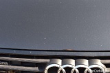  Audi  A6  Avant 40 TDI quattro sport 2.0 TDI 150KW AT7 E6dT #19