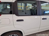  Fiat  Panda FIAT  / 2011 / 5P / BERLINA 1.0 FIREFLY 70CV SeS HYBRID #29