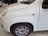  Fiat  Panda FIAT  / 2011 / 5P / BERLINA 1.0 FIREFLY 70CV SeS HYBRID #43