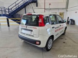  Fiat  Panda FIAT  / 2011 / 5P / BERLINA 1.0 FIREFLY 70CV SeS HYBRID #2