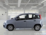  Fiat  Panda FIAT  / 2011 / 5P / BERLINA 1.0 FIREFLY 70CV SeS HYBRID #8