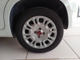  Fiat  Panda FIAT  / 2011 / 5P / BERLINA 1.2 69CV E6 EASY #19