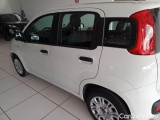  Fiat  Panda FIAT  / 2011 / 5P / BERLINA 1.2 69CV E6 EASY #40