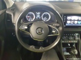  Skoda  Karoq 2.0 TDI SCR 4x4 DSG Clever Automatic Diesel  76 #19