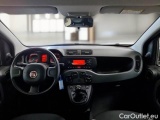  Fiat  Panda FIAT  / 2011 / 5P / BERLINA 1.0 FIREFLY 70CV SeS HYBRID #3