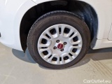  Fiat  Panda FIAT  / 2011 / 5P / BERLINA 1.2 69CV E6 EASY #20