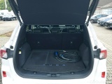 Ford  Kuga 2.5 DURATEC PHEV  84 #10