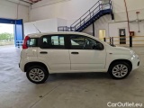  Fiat  Panda FIAT  / 2011 / 5P / BERLINA 0.9 TWINAIR TURBO NATURAL POWER EASY #7