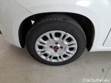  Fiat  Panda FIAT  / 2011 / 5P / BERLINA 1.2 69CV E6D-TEMP EASY #20