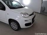  Fiat  Panda FIAT  / 2011 / 5P / BERLINA 1.2 69CV E6D-TEMP EASY #35