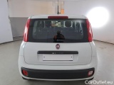  Fiat  Panda FIAT  / 2011 / 5P / BERLINA 1.2 69CV E6D-TEMP EASY #60
