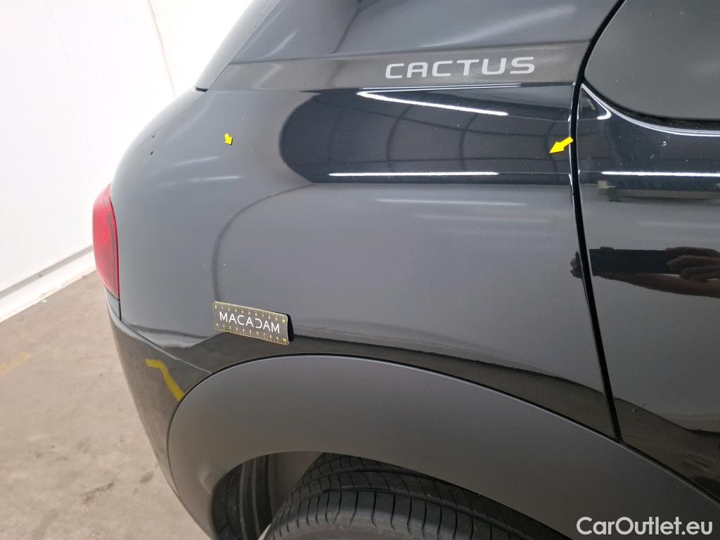  Citroen  C4 Cactus  Feel Business 1.5 BlueHDI 120CV BVA6 E6dT #13