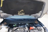  Ford  Focus  Turnier Active 1.5 EcoBlue 85KW AT8 E6d #17