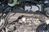  Ford  Focus  Turnier Active 1.5 EcoBlue 85KW AT8 E6d #20