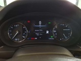  Opel  Insignia SPORTS Tourer 2.0 Diesel Aut. Business Automatic Diesel  28 #8